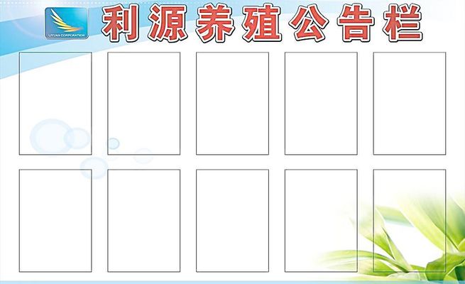 期货公司公告